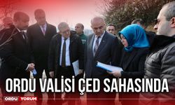 Ordu Valisi ÇED Sahasında