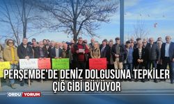 Perşembe'de Deniz Dolgusuna Tepkiler Çığ Gibi Büyüyor