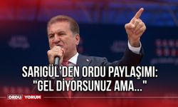 Sarıgül'den Ordu Paylaşımı: "Gel Diyorsunuz Ama..."