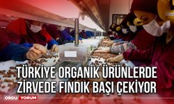 Türkiye Organik ürünlerde Zirvede Fındık Başı çekiyor