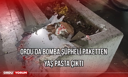 Ordu'da Bomba Şüpheli Paketten Yaş Pasta Çıktı