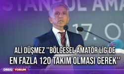 Ali Düşmez ''Bölgesel Amatör Lig'de En Fazla 120 Takım Olması Gerek''