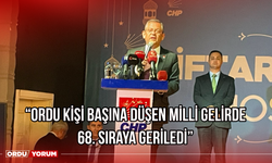 “Ordu Kişi Başına Düşen Milli Gelirde 68. Sıraya Geriledi”