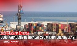 Doğu Karadeniz'de ihracat 290 milyon dolara ulaştı! Ordu ihracatta 3. sırada