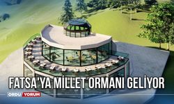 Fatsa'ya Millet Ormanı Geliyor