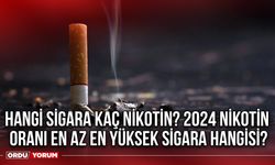 Hangi sigara kaç nikotin? 2024 Nikotin oranı en az en yüksek sigara hangisi?