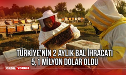 Türkiye'nin 2 aylık bal ihracatı 5,1 milyon dolar oldu