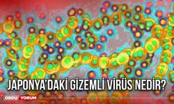 Japonya’daki Gizemli Virüs Nedir? Yeni Virüsün Belirtileri Nelerdir?