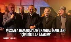 Mustafa Hamarat'tan Skandal İfadeler: "Çivi Gibi Laf Atarım!"