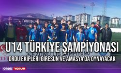 U14 Türkiye Şampiyonası Ordu Ekipleri Giresun ve Amasya'da Oynayacak