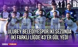 Ulubey Belediyespor İki Sezonda İki Farklı Ligde 43'er Gol Yedi