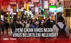 Yeni çıkan virüs nedir? Virüs belirtileri nelerdir? Virüs hastalıkları nedir? Streptokok enfeksiyonu nedir?