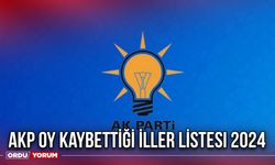 AKP oy kaybettiği iller listesi 2024