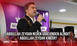 Abdullah Zeydan neden görevinden alındı? Abdullah Zeydan kimdir? Van Büyükşehir'e kayyım mı atandı?