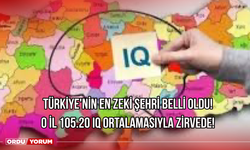 Türkiye'nin En Zeki Şehri Belli Oldu!  O İl 105.20 IQ ortalamasıyla zirvede!