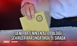 DEM Parti'nin En Az Oy Aldığı Şehirler Arasında Ordu 5. Sırada