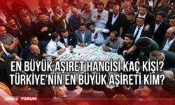 En büyük aşiret hangisi kaç kişi? Türkiye'nin en büyük aşireti kim?