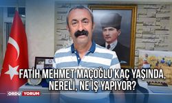 Fatih Mehmet Maçoğlu kimdir, Fatih Mehmet Maçoğlu kaç yaşında ,nereli, ne iş yapıyor?