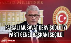 Fatsalı Müsavat Dervişoğlu İYİ Parti Genel Başkanı Seçildi