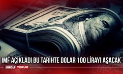IMF Açıkladı Bu Tarihte Dolar 100 Lirayı Aşacak