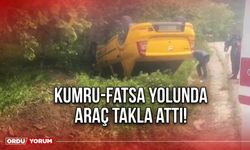 Kumru-Fatsa yolunda araç takla attı!