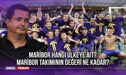 Maribor Hangi Ülkeye Ait? Maribor Takımının Değeri Ne Kadar? Maribor Hangi Millet?
