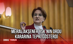 Meral Akşener YSK’nın Ordu Kararına Tepki Gösterdi