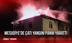 Mesudiye'de Çatı Yangını Panik Yarattı