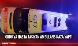 Ordu'ya Hasta Taşıyan Ambulans Kaza Yaptı