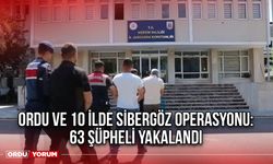 Ordu ve 10 İlde Sibergöz Operasyonu: 63 Şüpheli Yakalandı