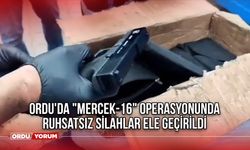 Ordu'da "MERCEK-16" Operasyonunda Ruhsatsız Silahlar Ele Geçirildi