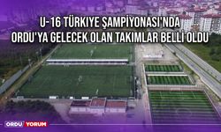 U-16 Türkiye Şampiyonası'nda Ordu'ya Gelecek Olan Takımlar Belli Oldu