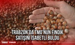 Trabzon’da TMO’nun Fındık Satışını İsabetli Buldu