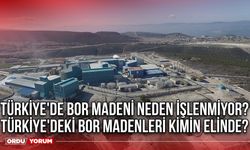 Türkiye'de bor madeni neden işlenmiyor? Türkiye'deki bor madenleri kimin elinde?