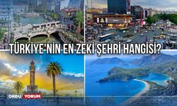 Türkiye'nin En Zeki Şehri Hangisi? Sonuçlar Şaşırtabilir! Ordu, Samsun, Giresun, Trabzon, Rize, Artvin, Tokat, Amasya, Ç