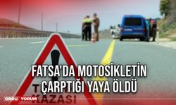 Fatsa'da Motosikletin Çarptığı Yaya Öldü