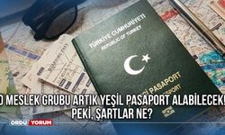 Yeşil Pasaportu Kimler Alabilir? Yeşil Pasaport Şartları Nelerdir?