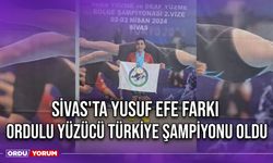 Sivas'ta Yusuf Efe Farkı, Ordulu Yüzücü Türkiye Şampiyonası Hakkı Kazandı