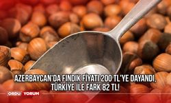 Azerbaycan'da Fındık Fiyatı 200 TL'ye Dayandı, Türkiye ile Fark 82 TL!