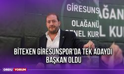 Bitexen Giresunspor'da Tek Adaydı, Başkan Oldu