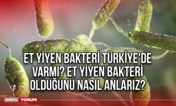 Et yiyen bakteri Türkiye'de varmı? Et yiyen bakteri olduğunu nasıl anlarız?