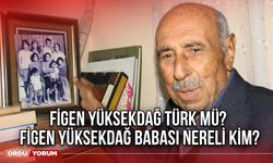 Figen Yüksekdağ Türk mü? Figen Yüksekdağ babası nereli kim?