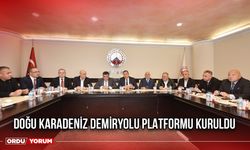 Doğu Karadeniz Demiryolu Platformu Kuruldu