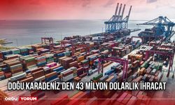 Doğu Karadeniz'den 43 Milyon Dolarlık İhracat