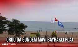 Ordu’da Gündem Mavi Bayraklı Plaj