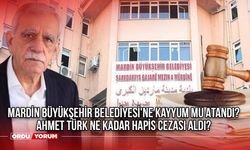 Mardin Büyükşehir Belediyesi'ne Kayyum Mu Atandı? Ahmet Türk Ne Kadar Hapis Cezası Aldı?