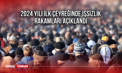 2024 yılı ilk çeyreğinde işsizlik rakamları açıklandı