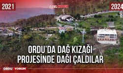 Ordu’da Dağ Kızağı Projesinde Dağı Çaldılar