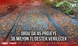 Ordu’da 45 Projeye 36 Milyon TL Destek Verilecek