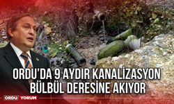 Ordu’da 9 Aydır Kanalizasyon Bülbül Deresine Akıyor
